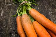 Karotten - kostenlose lizenzfreie Bilder | freestockgallery