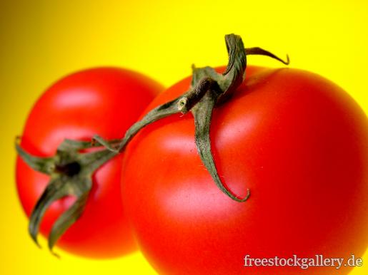 Rote Tomaten auf gelben Hintergrund