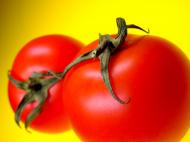 Rote Tomaten auf gelben Hintergrund - gratis Foto zum Download