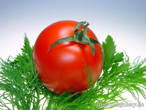 rote Tomate mit grÃ¼nen frischen KrÃ¤utern