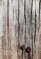 Altes Holz mit zwei rostigen NÃ¤gel - gratis Foto