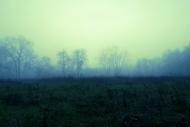 Nebel in der Natur - lizenzfreie Bilder kostenlos Herunterladen