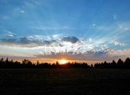 Sonnenaufgang auf einem Feld - gratis Foto | freestockgallery