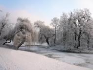 Zugefrorener See - Winterlandschaft | gratis Bild