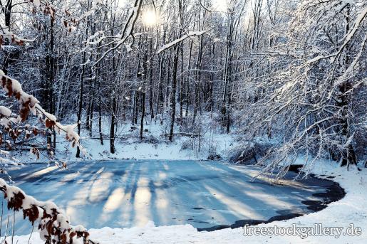 Zugefrorener See im Wald â€“ Winterbild