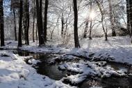 Winterlandschaft in der Natur - kostenloses Bild | freestockgallery 