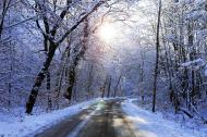 Verschneite StraÃŸe im Winter - kostenloses Bild | freestockgallery
