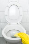 Toilette reinigen- kostenloses Bild Download | freestockgallery