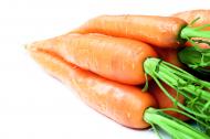 Frische Karotten im BÃ¼ndel - Bild mit weiÃŸem Hintergrund