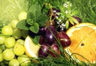 Frisches Obst in der Natur - kostenlose Bilder | freestockgallery