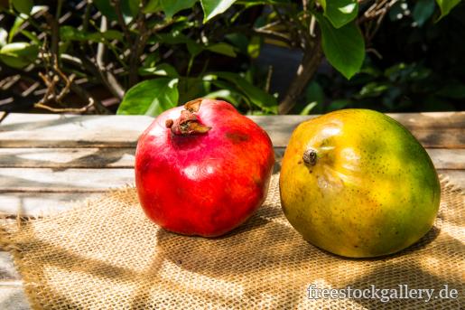 Exotische Frucht - Granatapfel und Mango