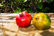 Exotische Frucht - Granatapfel und Mango - gratis Foto Download