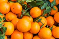 Orangen - kostenlose Bilder zum Download | freestockgallery