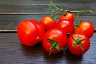 Rote Tomaten - gratis Foto zum Download