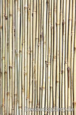 Bambus Wand - Hintergrundbild