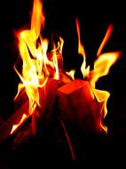 Feuer Holzscheite - Bild zum download | freestockgallery
