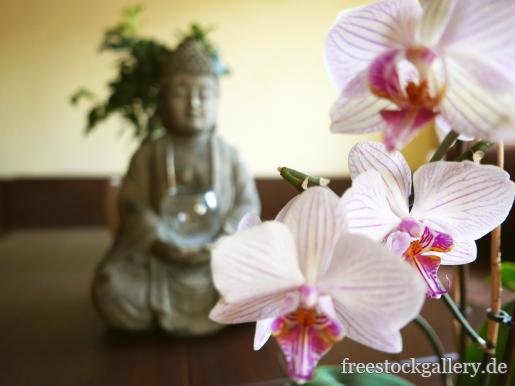 Orchidee und eine kleine Buddha - Ruhe, Entspannung, Meditation