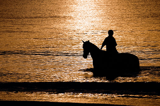 Reiter mit Pferd im Wasser beim Sonnenuntergang