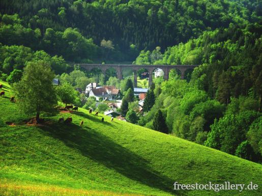 Natur mit WÃ¤lder und Wiesen im Odenwald in Hessen