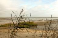 Das Wattenmeer - kostenlose lizenzfreie Bilder | freestockgallery 