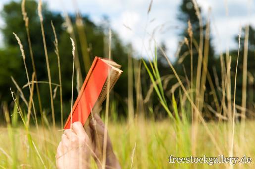Buch im Gras lesen