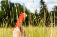 Buch im Gras lesen - kostenlose lizenzfreie Bilder | freestockgallery