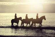 Drei Reiter am Meer beim Sonnenuntergang - kostenlose Bilder 