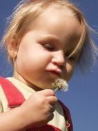 Kind mit Pusteblume - kostenloses Bild
