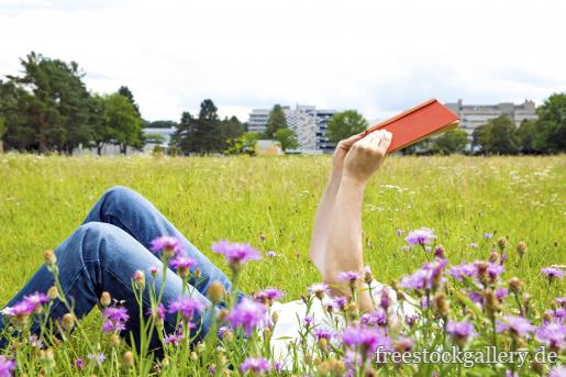 Mann liest ein Buch im Gras