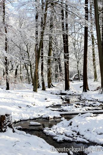 Winterlandschaft im einem Bach im Wald