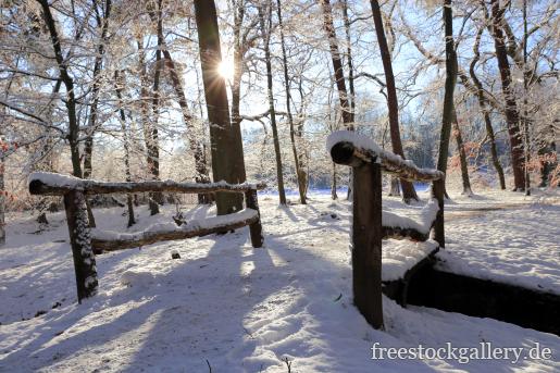 Verschneiter Wald mit einer kleinen BrÃ¼cke - Winterbild