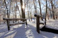Winterbild im Wald mit einer kleinen BrÃ¼cke - gratis Foto