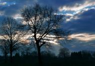 Dunkle Wolken in der Natur - gratis Fotos | freestockgallery