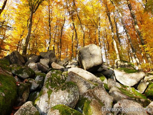 Felsen und Steine im Wald