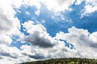 GroÃŸe Wolken Ã¼ber einem WaldstÃ¼ck - kostenlose Bilder und Fotos