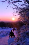 Schlittenfahren im Schnee beim Sonnenuntergang - gratis Foto