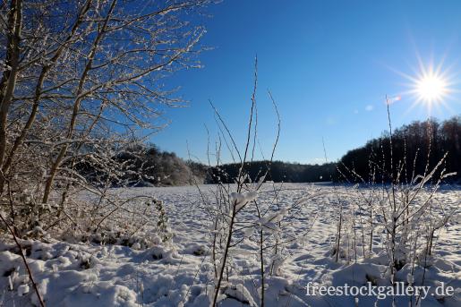 Schneebedecktes Feld - Winterbild