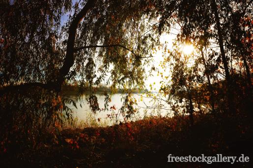 BÃ¤ume am Ufer am Fluss im Herbst 