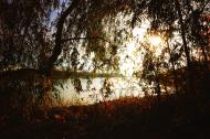 Ufer am Fluss Herbst