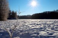 Verschneites Feld im Winter - kostenloses Bild