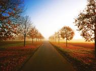 Weg im Herbst - kostenloses Bild Download | freestockgallery