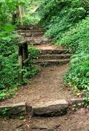Weg mit Steintreppen im Wald fÃ¼hrt nach oben - gratis Bild