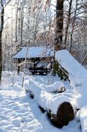 Winter im Wald - Bilder zum gratis Download | freestockgallery