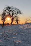 Winterlandschaft mit Sonnenuntergang - kostenloses Bild