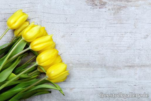 gelbe Tulpen auf hellem alten Holz