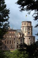 Heidelberger Schlossruine - gratis Foto