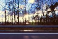 Blick aus dem Auto - Leitplanke, Autobahn, BÃ¤ume - kostenloses Bild